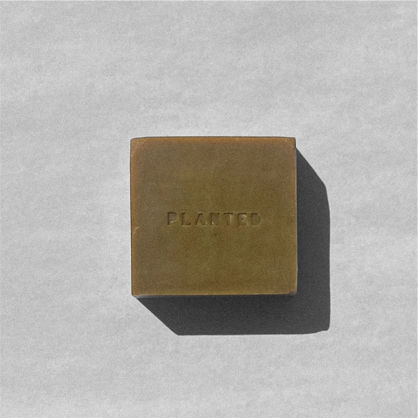 Ease Body Bar | Avocado + Eucalyptus