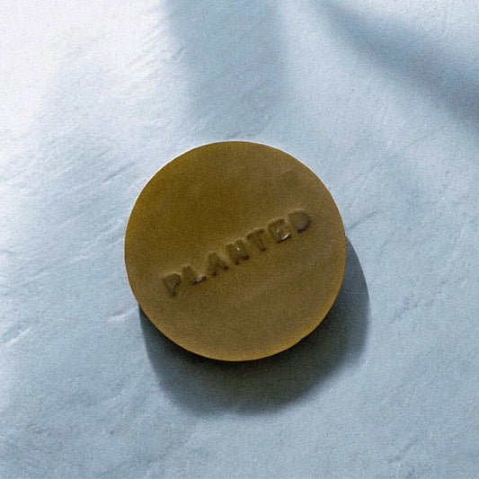 Ease Mini | Avocado + Eucalyptus