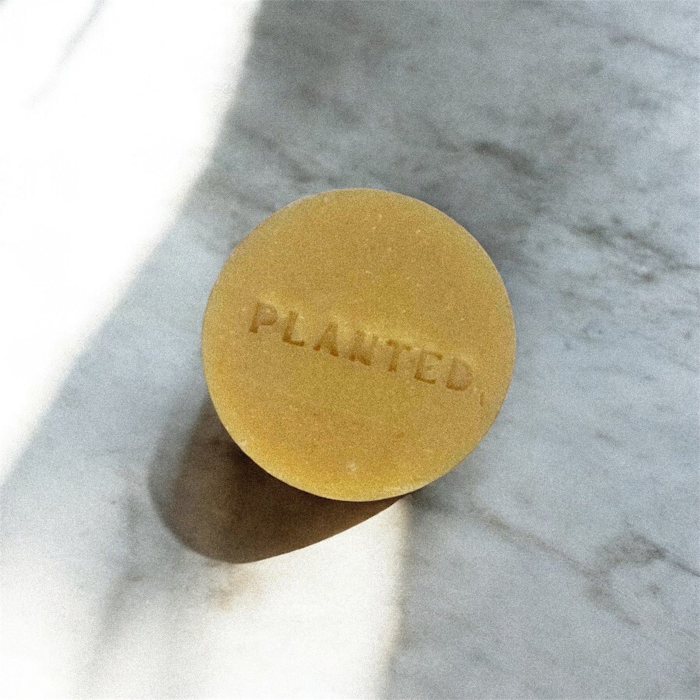 Soothe Mini | Honey + Cocoa Butter [Unscented]